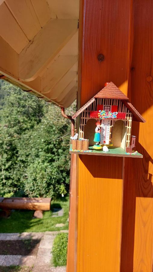 Ferienhaus Barbey ซังคท์บลาเซียน ภายนอก รูปภาพ