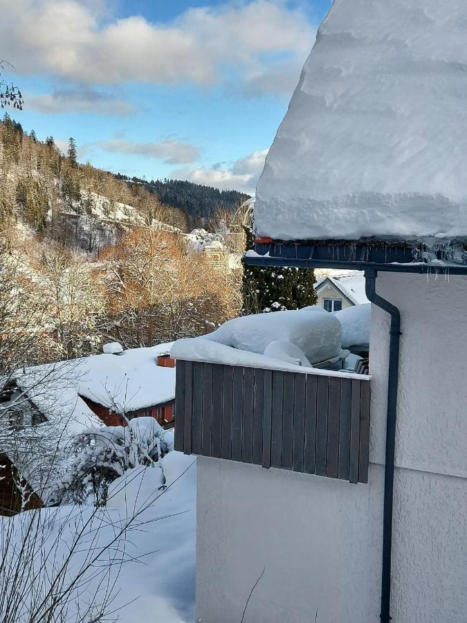 Ferienhaus Barbey ซังคท์บลาเซียน ภายนอก รูปภาพ